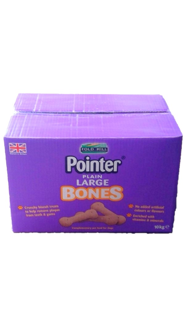 Pointer large plain bones